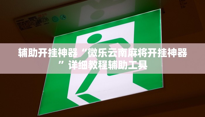 輔助神器“新九哥大廳透視輔助最新”開掛詳細(xì)教程