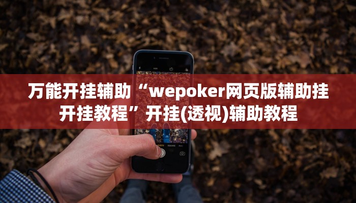 萬能開掛輔助“wepoker網(wǎng)頁版輔助掛開掛教程”開掛(透視)輔助教程 萬能開掛輔助“wepoker網(wǎng)頁版輔助掛開掛教程”開掛(透視)輔助教程