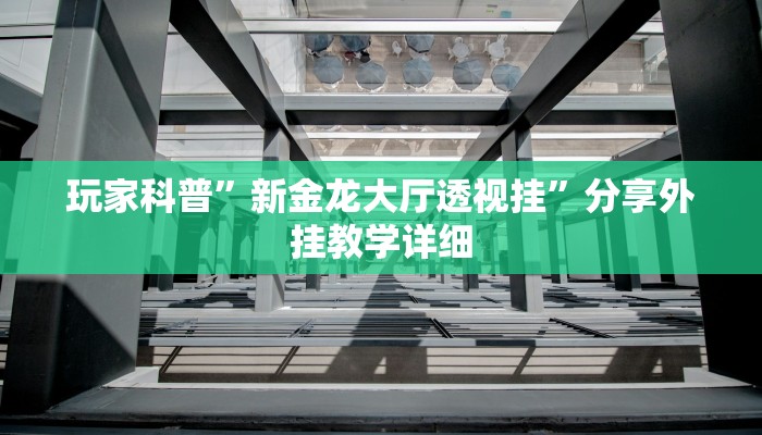 教程輔助“微樂龍江麻將小程序掛”其實(shí)確實(shí)有掛 教程輔助“微樂龍江麻將小程序掛”其實(shí)確實(shí)有掛