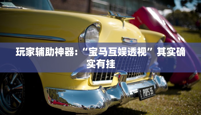 玩家科普”金州水魚開掛器”分享外掛教學詳細 玩家科普”金州水魚開掛器”分享外掛教學詳細