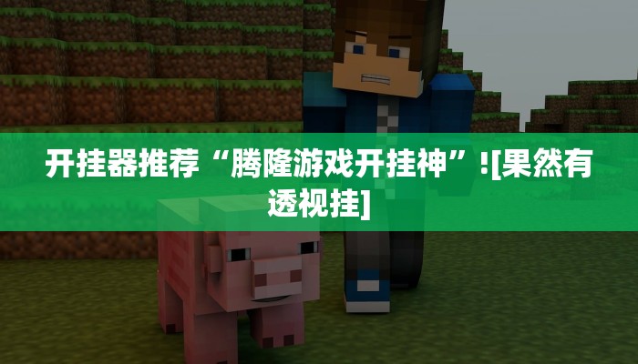 開掛器推薦“鄱陽翻精真的能開掛”開掛(透視)輔助教程