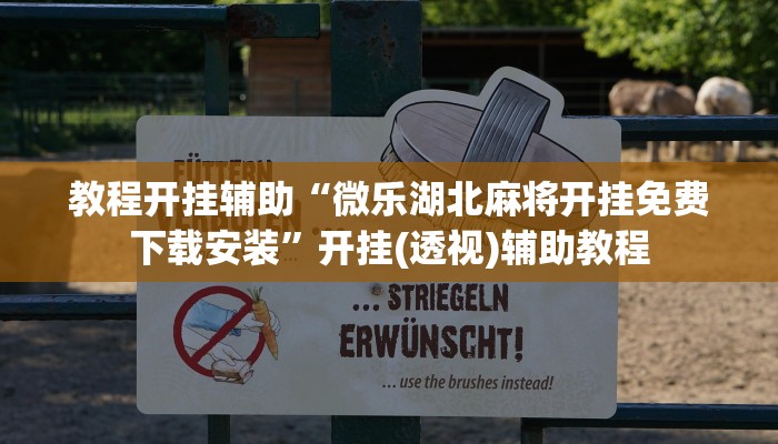 教程開掛輔助“微樂湖北麻將開掛免費下載安裝”開掛(透視)輔助教程 教程開掛輔助“微樂湖北麻將開掛免費下載安裝”開掛(透視)輔助教程