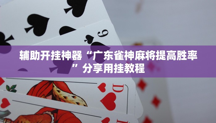 輔助神器“山水云南麻將真的其實有掛”其實確實有掛