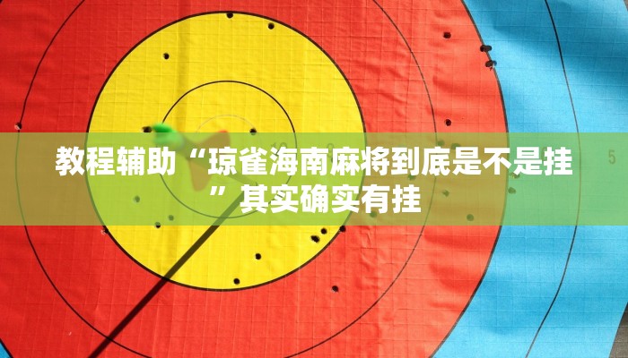 教程輔助“瓊?cè)负Ｄ下閷⒌降资遣皇菕臁逼鋵?shí)確實(shí)有掛