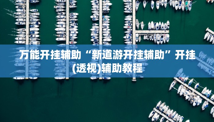 萬(wàn)能開掛輔助“新道游開掛輔助”開掛(透視)輔助教程