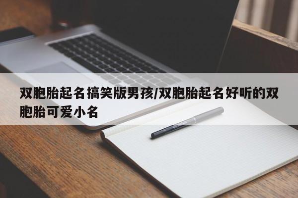 雙胞胎起名搞笑版男孩/雙胞胎起名好聽的雙胞胎可愛小名
